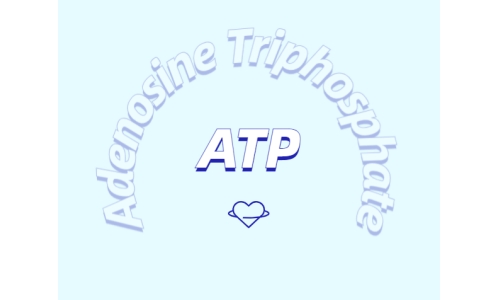 ATP補充劑對運動有什么益處？